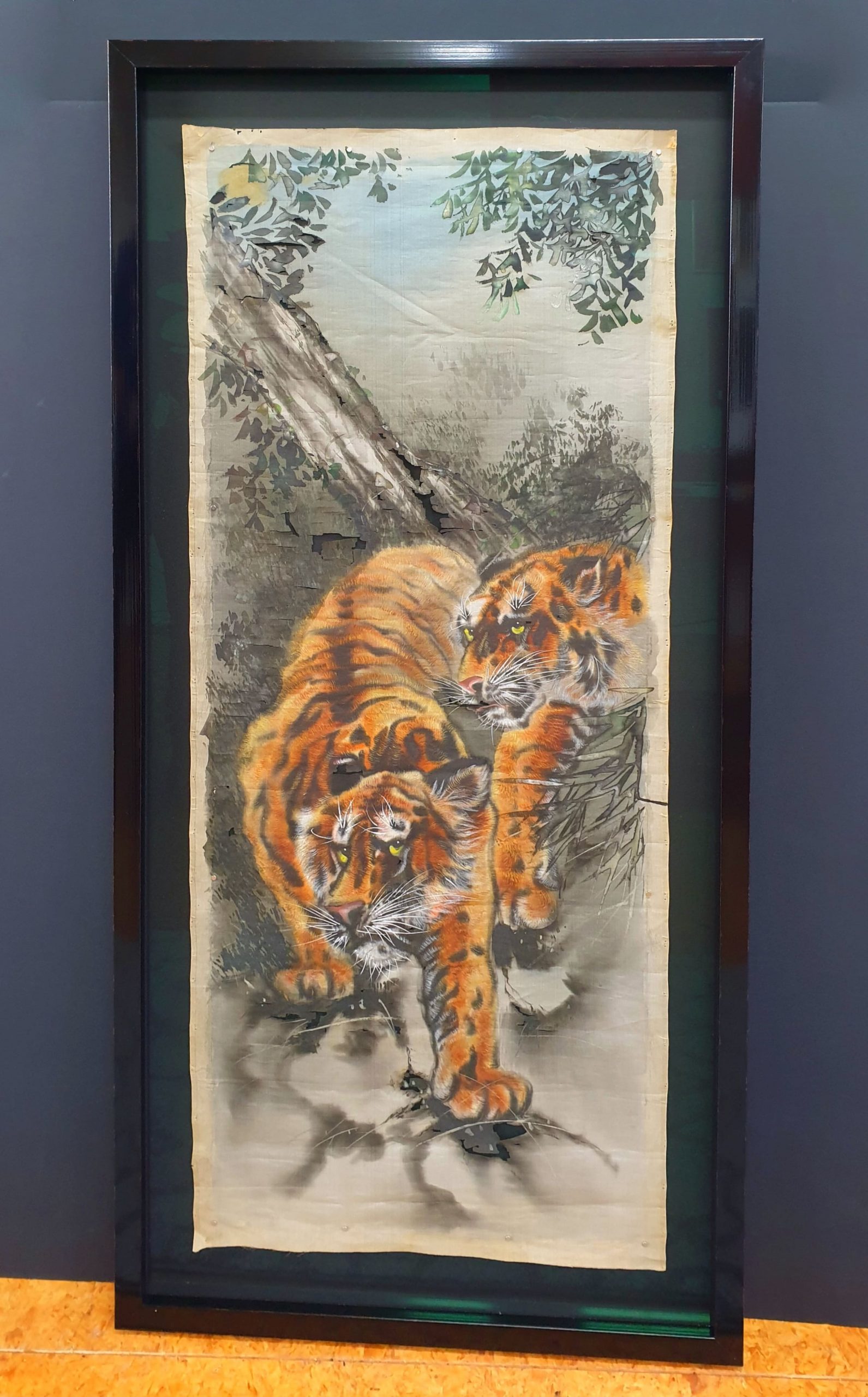 Conservation Framing